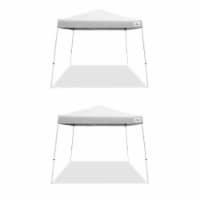 Caravan Canopy V Series 2 10'x10' Entry Level Angled Leg Instant Canopy (2 Pack)