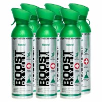 Boost Oxygen Natural Portable 10 Liter Pure Canned Oxygen Canister (6 Pack) Perspective: Main