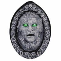 Seasonal Visions MR122881 Animated Haunted Frame Decoration