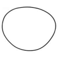 Aladdin Equipment APCO2648 590210 American Quantum O498 Pentair Titan & CM Tank O-ring