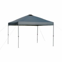 9.8' x 9.8' Event & Outside Canopy w/ 3-Tier Adjusting Height & Roller Bag Grey