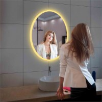 Blossom Oval 24  Oval LED Mirror Silver Glass