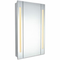 Elegant Decor Elixir 28  x 20  LED Medicine Cabinet in Silver Powder Coating