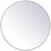 Elegant Decor Eternity 39  Round Mid Century Metal Frame Mirror in Silver