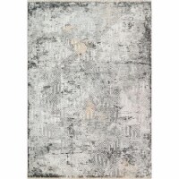 Dynamic Rugs ZS9126682999 7 ft. 10 in. x 10 ft. 8 in. 6682 Sunrise Area Rug, 999 Grey, Charco