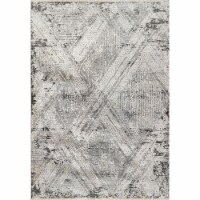 Dynamic Rugs ZS9126683999 7 ft. 10 in. x 10 ft. 8 in. 6683 Sunrise Area Rug, 999 Grey, Charco
