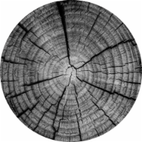 PopSockets Swappable PopGrip - Out of the Woods Perspective: Main