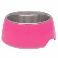 Retro Bowl X-Small Hot Pink Pet Bowl
