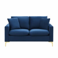 Iconic Home Roxi Loveseat Velvet Upholstered Multi-Cushion Seat Gold Tone Metal Y-Legs with 2