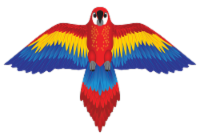 X Kites® Macaw MicroKite Perspective: Main