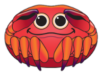 X Kites® MicroKite SeaCreature Kite - Crab Perspective: Main