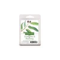 Oak & Rye Eucalyptus and Rosemary Wax Cube Melts - 6 pk - White