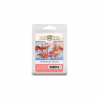 Oak & Rye® Flamingo Shore Scented Wax Cubes Perspective: Main