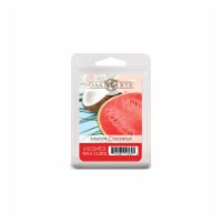 Oak & Rye® Melon Coconut Wax Cubes - 6 pk Perspective: Main