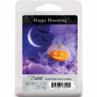 Estate™ Happy Haunting Scented Wax Cubes Perspective: Main