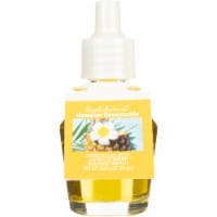 Fusion™ Scent Charm Oil Hawaiian Honeysuckle Perspective: Main