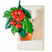 ScentSationals Winter Berries Scent Charm Oil Diffuser Perspective: Main
