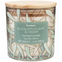 Fusion Jar Candle Eucalyptus Leaf & Cedar Perspective: Main