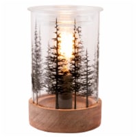 Fusion™ Edison Warmer Fir Grove Perspective: Main