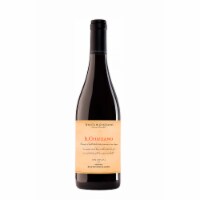 Tenuta Di Ghizzano Il Ghizzano Italian Red Wine Perspective: Main
