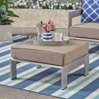 Aya Coral Cushioned Auminum Ottoman, Silver and Khaki