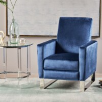 Arvin Modern Velvet Push Back High Leg Recliner with Stainless Steel Legs eggplant silver 1 unit Fry s Food Stores