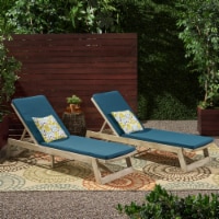 Tina Outdoor Acacia Wood Chaise Lounge and Cushion Sets (Set of 2) light gray wash, gray,