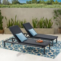 Mavis Outdoor Fabric Lounge Cushion (Set of 2) dark gray