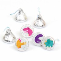 Big Dot of Happiness Roar Dinosaur Girl Dino Mite Party Round Candy Sticker Favors - 108 Ct