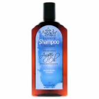 Agadir Argan Oil Daily Volumizing Shampoo 12.4 oz