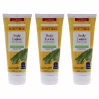 Burt's Bees Aloe and Shea Butter Body Lotion  Pack of 3 6 oz