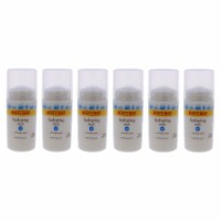 Burt's Bees Hydrating Facial Stick  Pack of 6 Moisturizer 1.1 oz