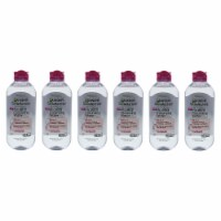 Garnier Micellar Cleansing Water AllIn1  Pack of 6 Cleanser 13.5 oz