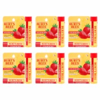 Burt's Bees Strawberry Moisturizing Lip Balm Blister  Pack of 6 0.15 oz
