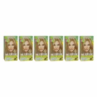 Garnier Nutrisse Nourishing Color Creme  80 Medium Natural Blonde  Pack of 6 Hair Color 1 App