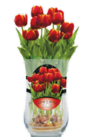 Tulip Curve Plant Vase
