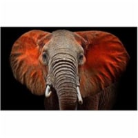 Yosemite AR30318427 Home Decor Loxodanta Wall Art - Multicolor