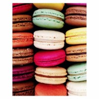 Yosemite Home Decor 3120084 French Delight - Photo by Veronica Olson, Printed on Tempered Gla