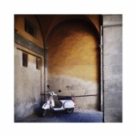 Yosemite Home Decor 3120098 Le Velo I - Photo by Veronica Olson, Printed on Tempered Glass Ar