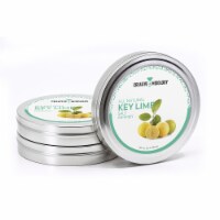 Creative Mixology's All-Natural Key Lime Salt Cocktail Rimmer - 3-Pack - 4293