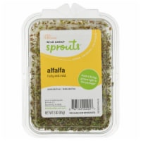 Wild About Spouts® Alfalfa Perspective: Main