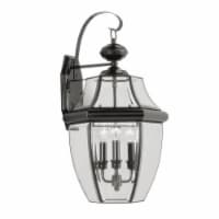 Livex 2351-04 Monterey Outdoor Light- Black