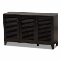 Baxton Studio FP-04LV-Espresso Warren Espresso Shoe-Storage Cabinet - 27.5 x 44.5 x 14.63 in.