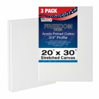 20  x 30  Stretched Canvas 12-Ounce Primed 3-Pack - White 3/4  Profile Heavy-Weight Gesso