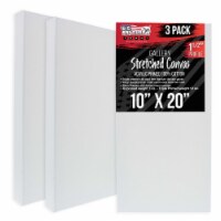 10  x 20  Gallery Depth 1-1/2  Profile Stretched Canvas 3-Pack - Gesso Triple Primed Cotton