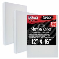 12  x 16  Gallery Depth 1-1/2  Profile Stretched Canvas 3-Pack - Gesso Triple Primed Cotton