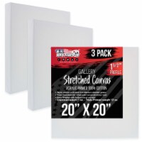 20  x 20  Gallery Depth 1-1/2  Profile Stretched Canvas 3-Pack - Gesso Triple Primed Cotton