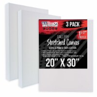 20  x 30  Gallery Depth 1-1/2  Profile Stretched Canvas 3-Pack - Gesso Triple Primed Cotton