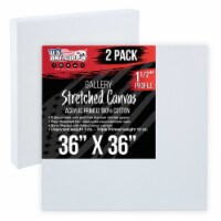 36  x 36  Gallery Depth 1-1/2  Profile Stretched Canvas 2-Pack - Gesso Triple Primed Cotton
