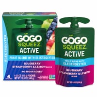 GoGo squeeZ Active Fruit Blend with Electrolytes, Blueberry Strawberry Lemon Perspective: Main